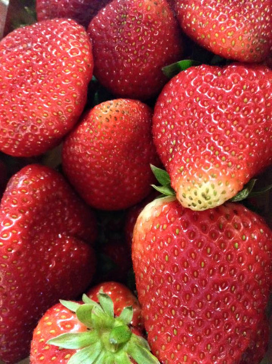 Good things grow in Ontario! Here are some seasonal superfoods to watch out for.