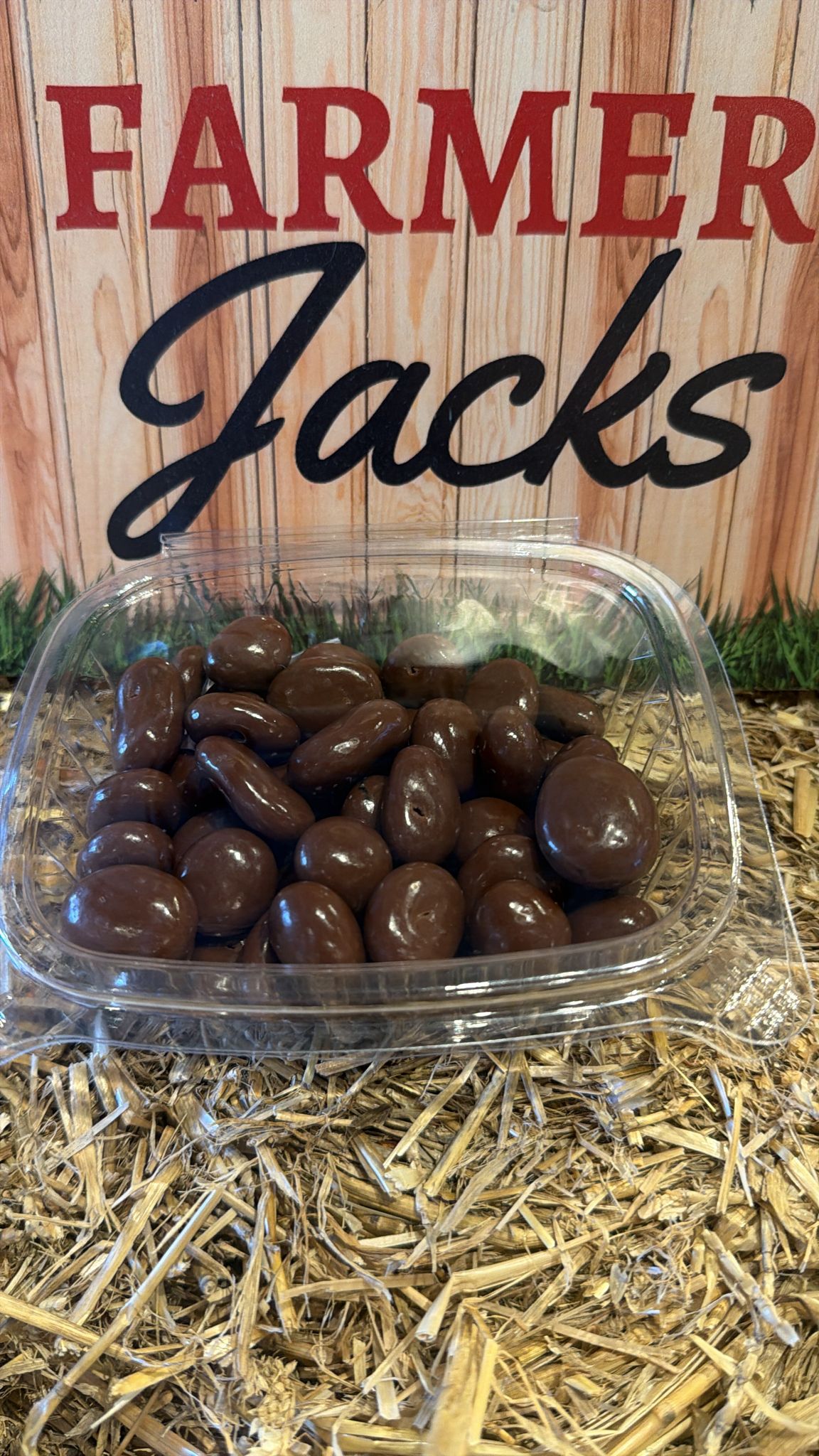 Milk Chocolate Raisins