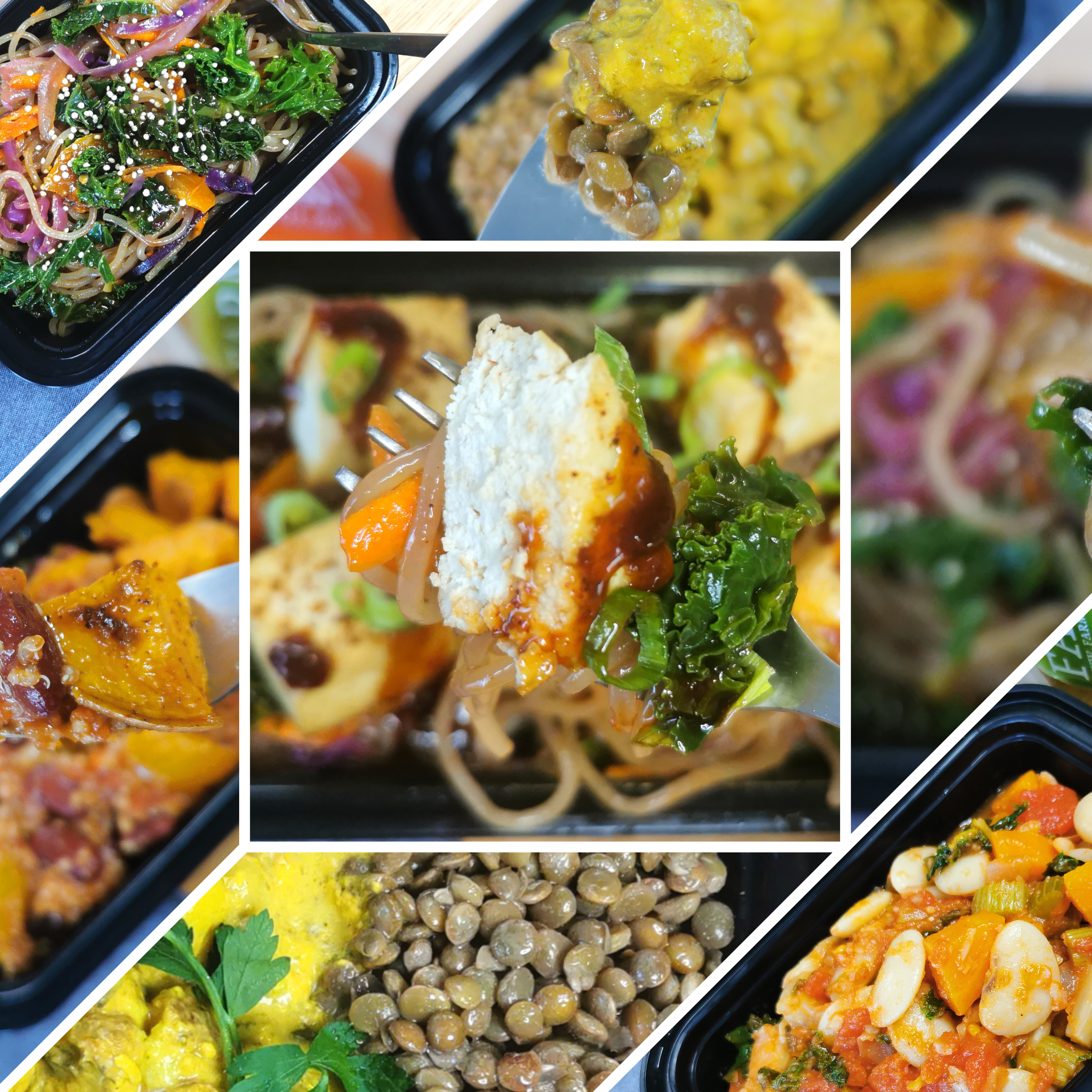 Vegan 7 Meals Bundle